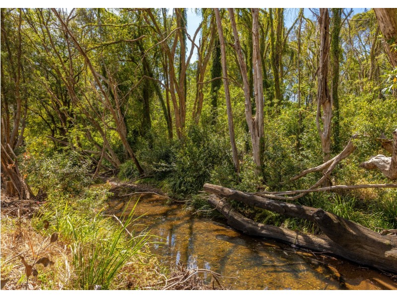 65 Careys Road, Hillville NSW 2430