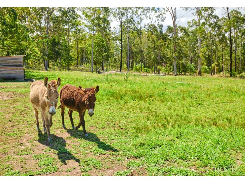 9 Wynters Road, Burrell Creek NSW 2429