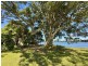 Lot 7 DP1297305 Ferry Road, Oxley Island NSW 2430
