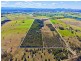 43 Redbank Road, Pampoolah NSW 2430