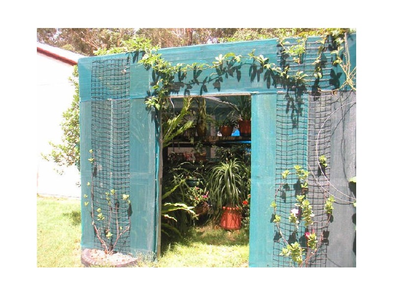 Mitchells Island NSW 2430