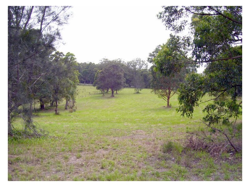 Mitchells Island NSW 2430