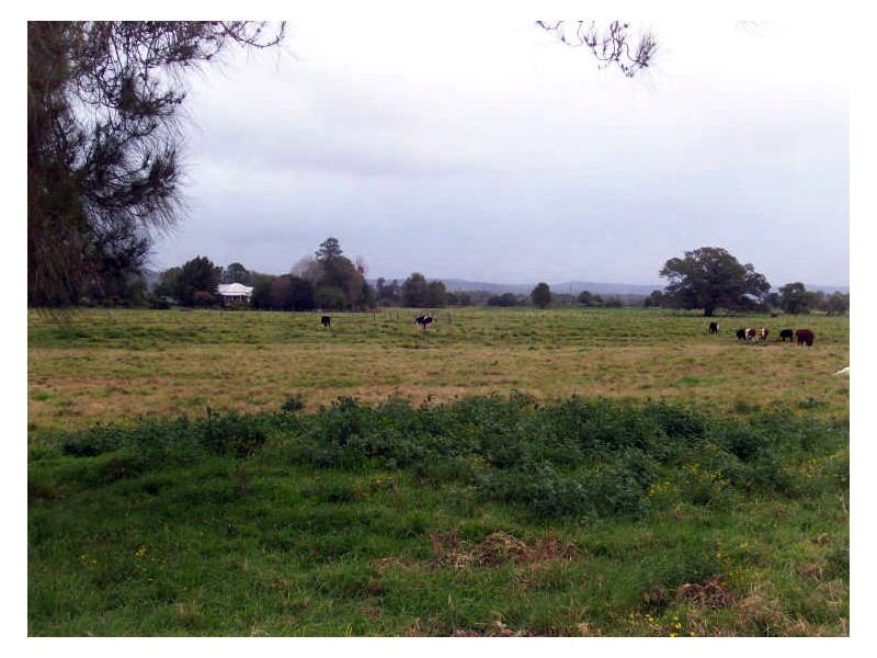 315 Glenthorne Road, Taree NSW 2430