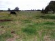 315 Glenthorne Road, Taree NSW 2430