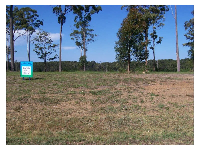 Peets Avenue, Wallabi Point NSW 2430