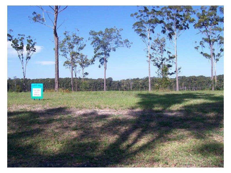 Peets Avenue, Wallabi Point NSW 2430