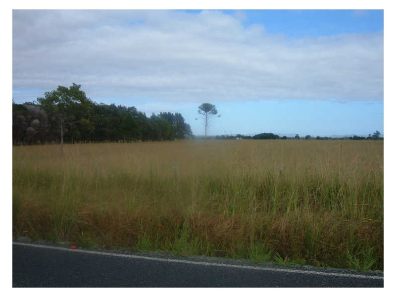 Oxley Island NSW 2430