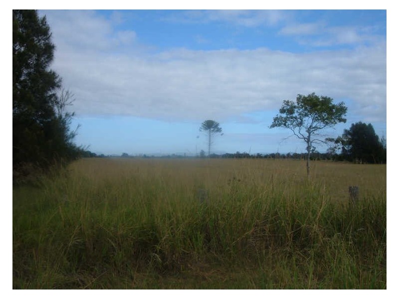 Oxley Island NSW 2430