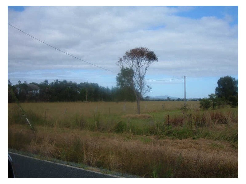 Oxley Island NSW 2430