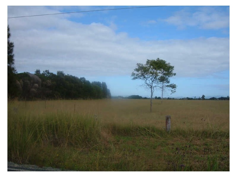 Oxley Island NSW 2430