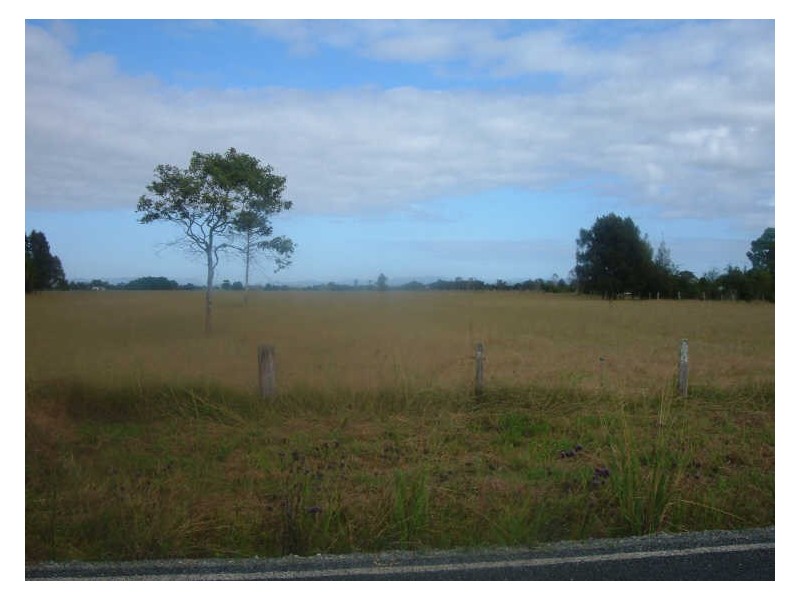 Oxley Island NSW 2430