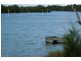 Mitchells Island NSW 2430