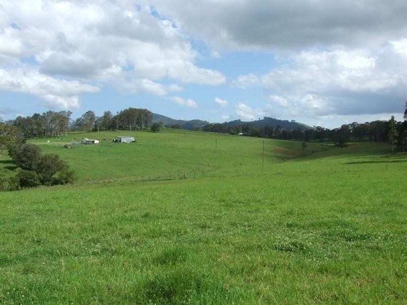 Burrell Creek NSW 2429