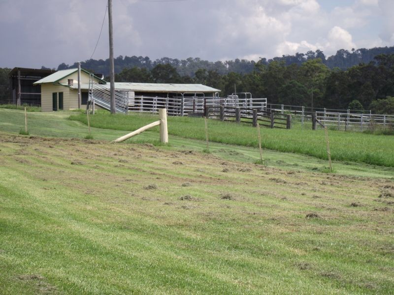 Burrell Creek NSW 2429