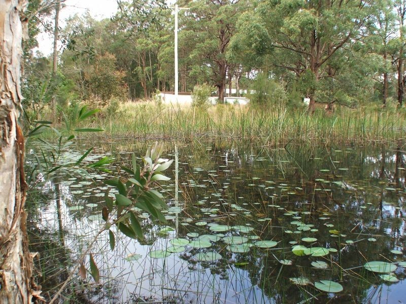 32 Bohnock Road, Bohnock NSW 2430