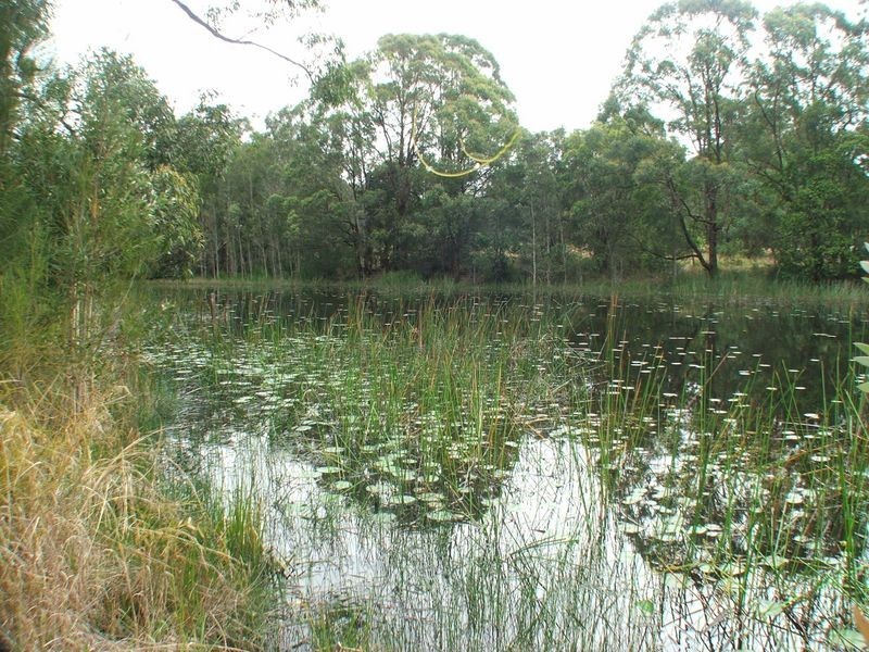 32 Bohnock Road, Bohnock NSW 2430