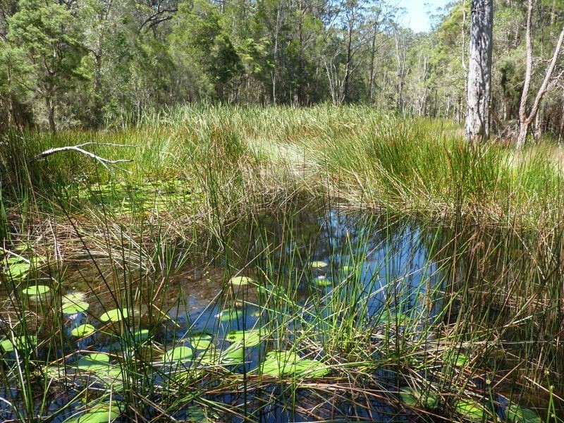 138 Manning Point Road, Bohnock NSW 2430