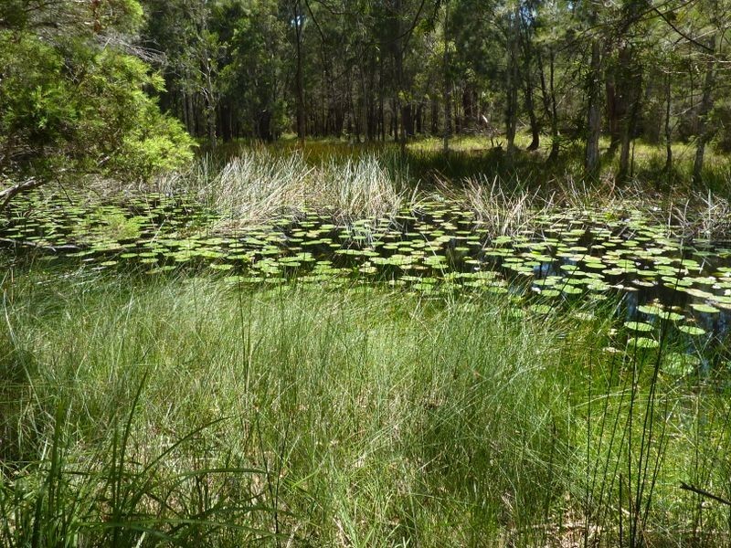 138 Manning Point Road, Bohnock NSW 2430