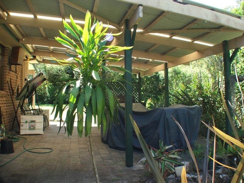 33 Kiwarrak Dr, Rainbow Flat NSW 2430