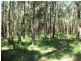 33 Kiwarrak Dr, Rainbow Flat NSW 2430