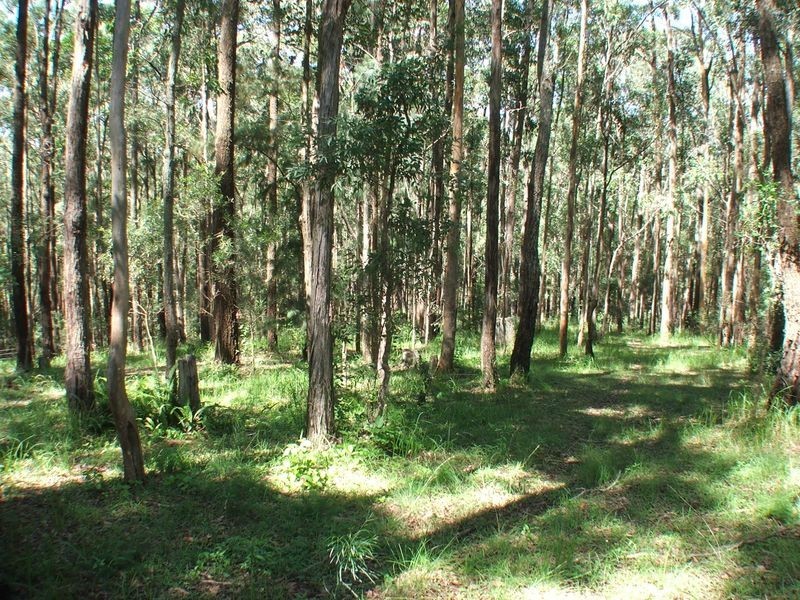 33 Kiwarrak Dr, Rainbow Flat NSW 2430