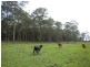122 Pampoolah Road, Pampoolah NSW 2430