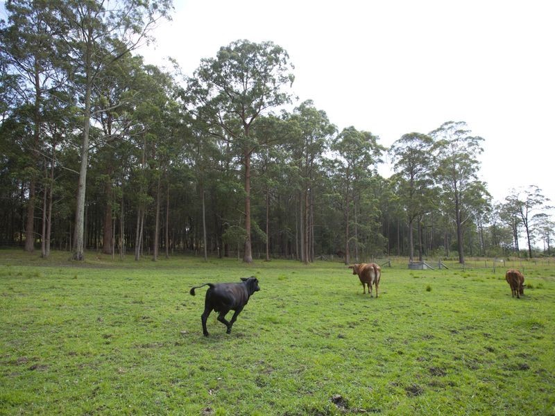 122 Pampoolah Road, Pampoolah NSW 2430