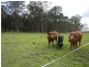 122 Pampoolah Road, Pampoolah NSW 2430