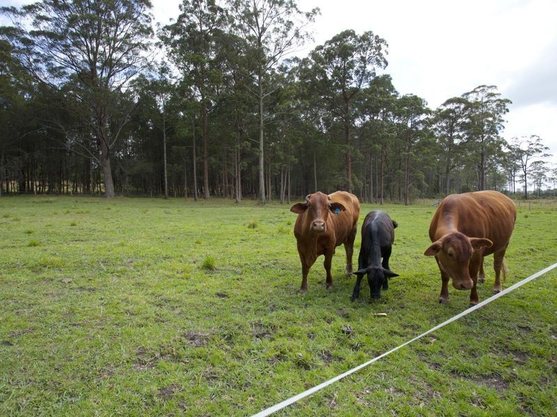 122 Pampoolah Road, Pampoolah NSW 2430