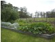 122 Pampoolah Road, Pampoolah NSW 2430