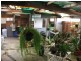 6 Sheppard Street, Old Bar NSW 2430