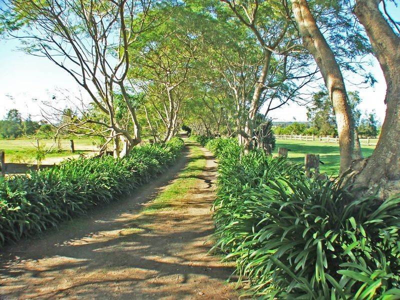 77 Templetons Lane, Oxley Island NSW 2430