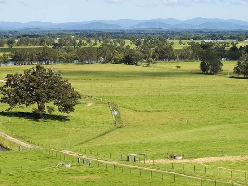 89 Factory Road, Mitchells Island NSW 2430