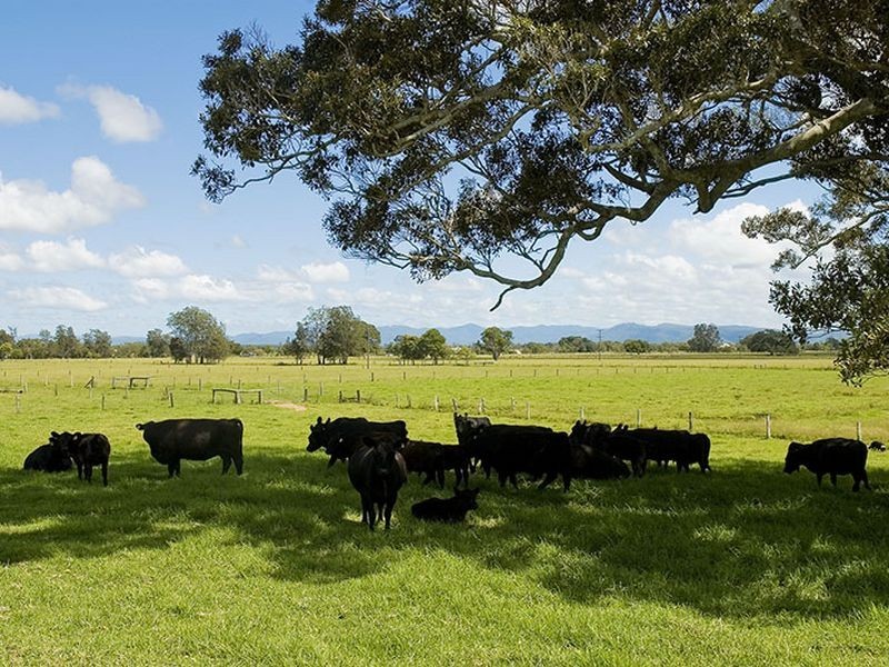 89 Factory Road, Mitchells Island NSW 2430