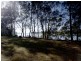 17 Thomas Lane, Oxley Island NSW 2430