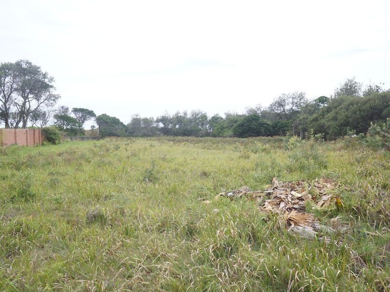 42 Lewis Street, Old Bar NSW 2430