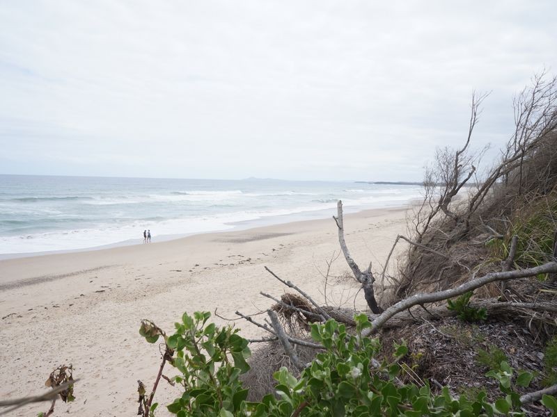 42 Lewis Street, Old Bar NSW 2430