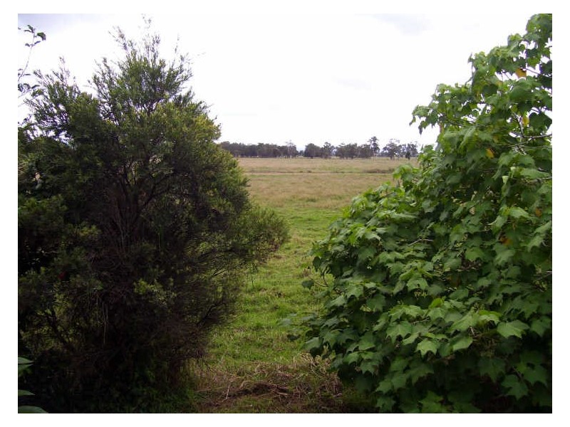 30 Murdochs Lane, Oxley Island NSW 2430