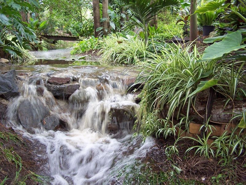 24 Cowans Lane, Oxley Island NSW 2430