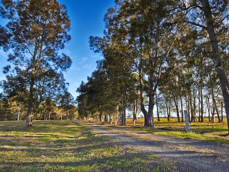 24 Cowans Lane, Oxley Island NSW 2430