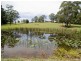 164 Factory Road, Mitchells Island NSW 2430