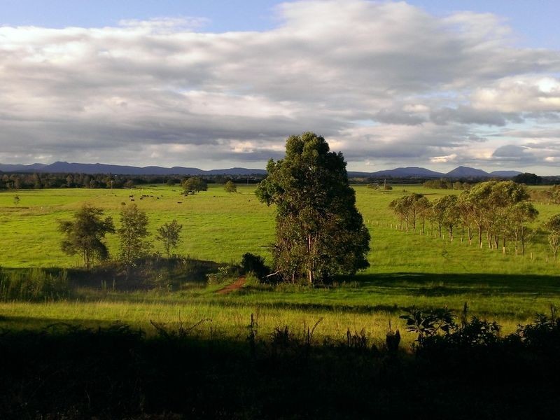 11 Newby Road, Taree NSW 2430