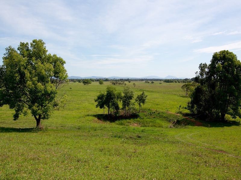 11 Newby Road, Taree NSW 2430