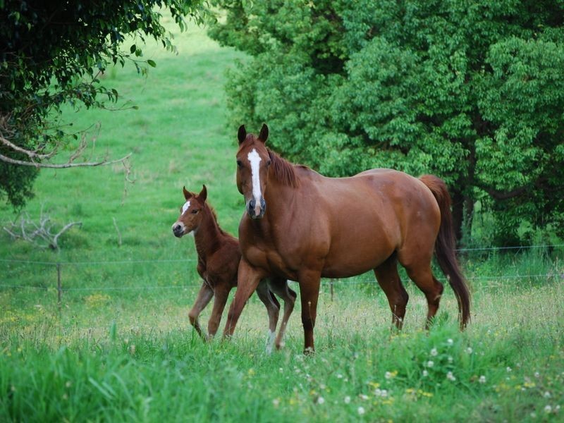 11 Newby Road, Taree NSW 2430