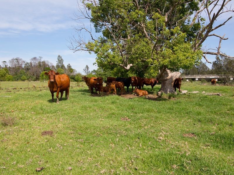 11 Newby Road, Taree NSW 2430