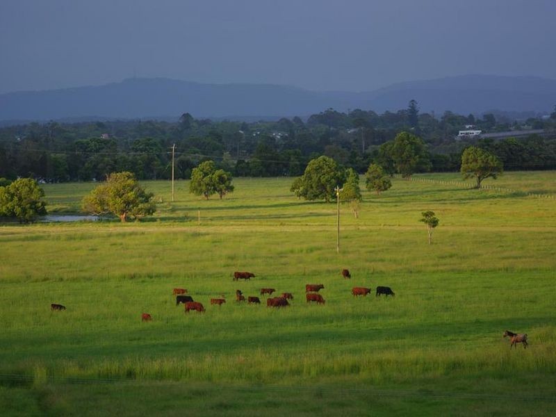 11 Newby Road, Taree NSW 2430