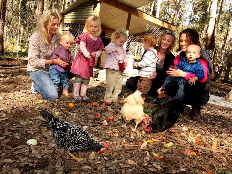 139 Metz Road, Old Bar NSW 2430