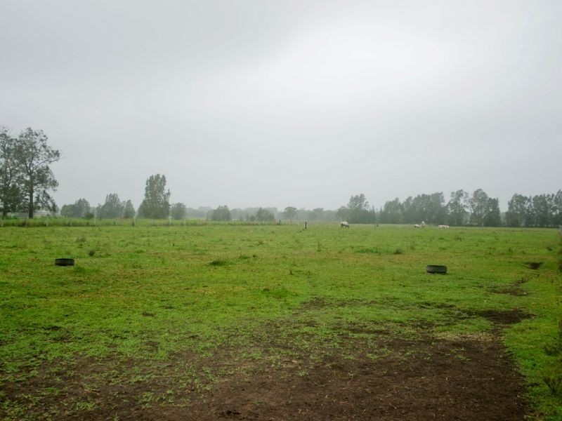 10 Narrung Place, Oxley Island NSW 2430