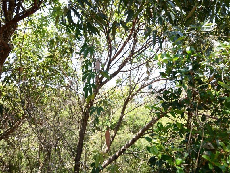 41 Marine Drive, Wallabi Point NSW 2430