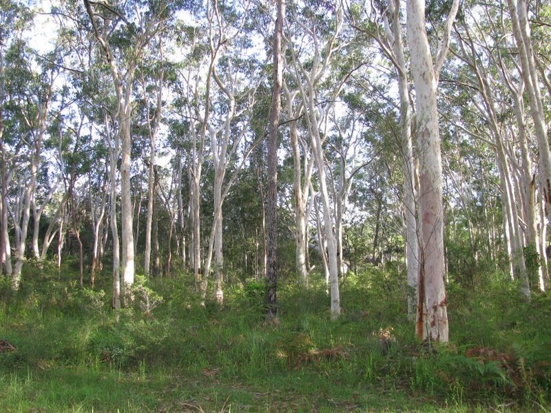 186 Beach Road, Mitchells Island NSW 2430